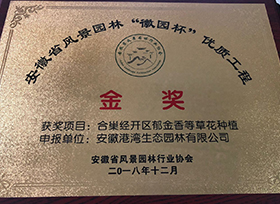 荣誉证书