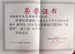 瑶海三个中心徽园杯-优秀奖