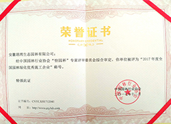 企业优秀施工企业
