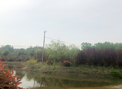 苗圃风采