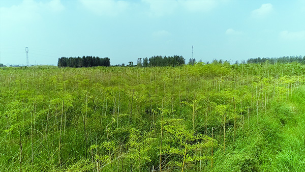 未标题-2.jpg