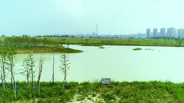未标题-2.jpg