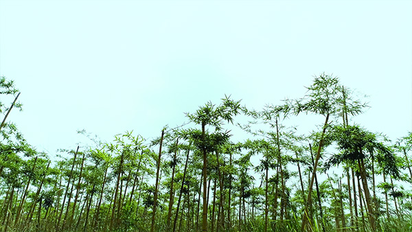 未标题-2.jpg