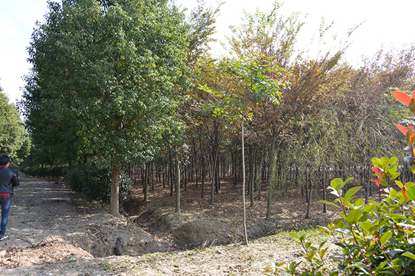 未标题-2.jpg