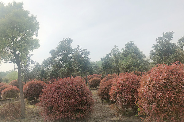 未标题-2.jpg
