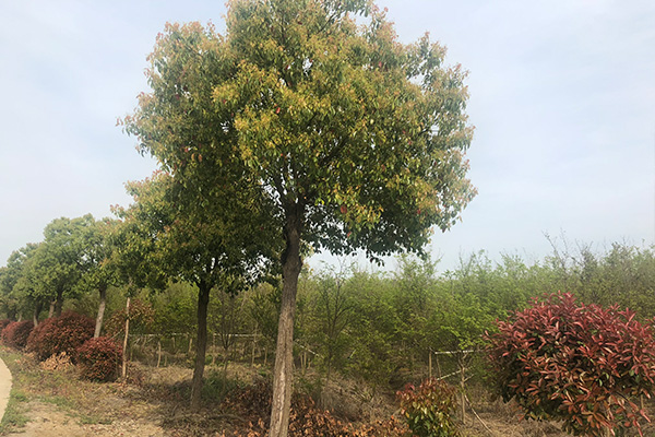 未标题-2.jpg
