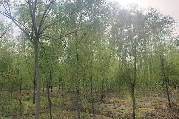 未标题-2.jpg