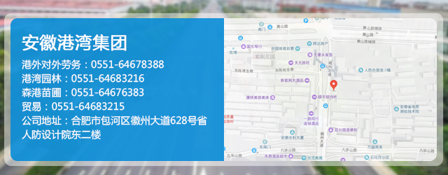 手机地图.jpg
